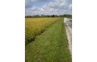 Property photo 5 - 75+/- Acres in 9 Tracts